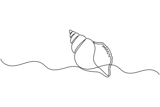 Seashell One Line Art Minimal Ocean Shell Continuous Line Drawing Beach Nature Illustration
