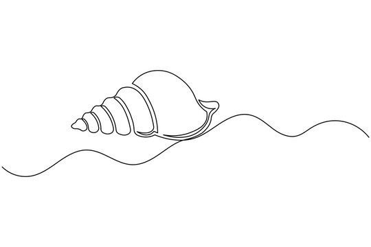 Seashell Line Art Minimal Continuous Shell Drawing Ocean Beach Aesthetic Vector