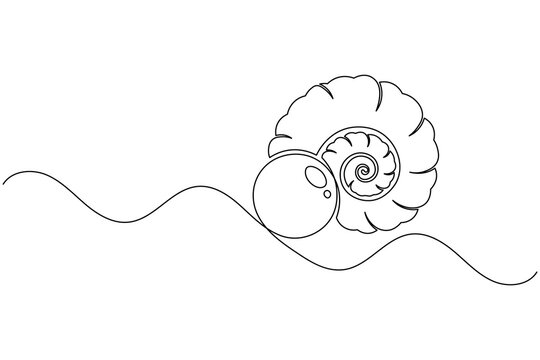 Seashell Continuous Line Drawing Minimal Shell Ocean Beach Icon Simple Vector Illustration