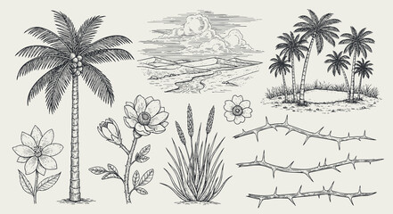 Hand-drawn desert elements collection with cactus, agave, bull skull, mountains, sand dunes, and sun in a retro black and white engraving sketch style © bow