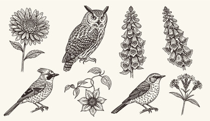 Set of of birds and flowers. engraving illustration birds and flower © bow