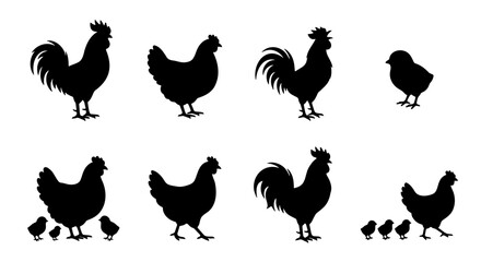 Chicken silhouette vector set, rooster and hen farm animal icons, black poultry bird silhouettes, 8 elements for agriculture and food branding © Mohsin