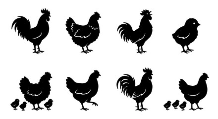 Black chicken silhouette collection, 8 vector farm bird icons, rooster and hen silhouettes with baby chicks, poultry livestock graphics for butchery logos © Mohsin