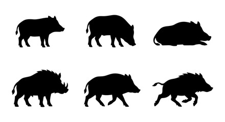 Fototapeta premium Wild boar silhouette collection, set of 6 feral pig and forest hog vector icons, black animal shapes in standing and running poses