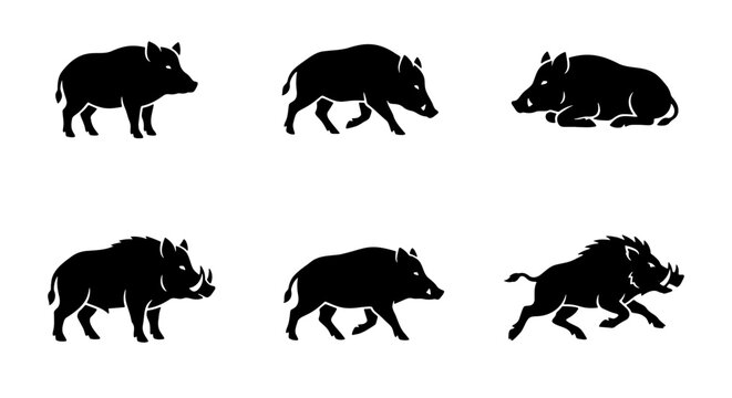 Wild boar silhouette collection, set of 6 black feral pig icons, forest animal vector graphics for hunting and nature branding