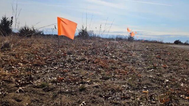 utility flags waving. orange marking flags commonly used in land surveying, construction, or utility locating blowing in the wind. abstract background.