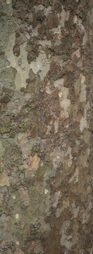 Macro view of computer programming code displayed on a screen in dark mode, featuring green syntax highlighting on a black background. The image conveys concepts of software development, cybersecurity