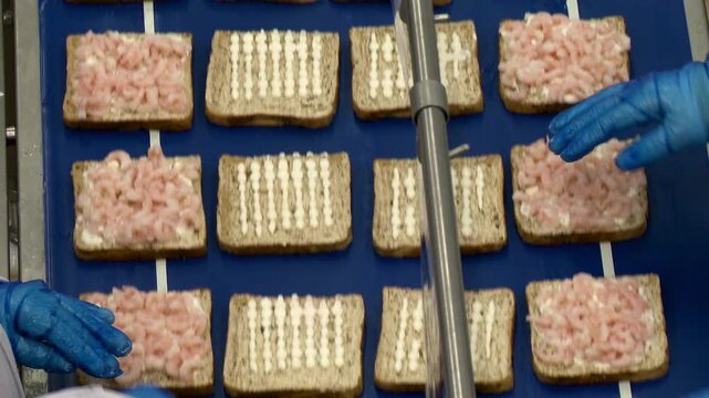 bread on conveyor belt in sandwich factory
