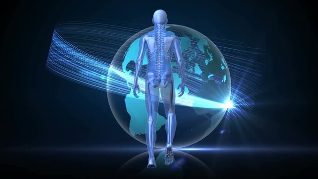 Animation of skeleton and globe with lines over navy space
