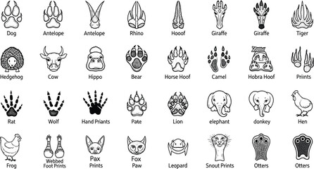 Collection of Animal Paw Prints and Footprints, Featuring Dogs, Tigers, Lions, Giraffes, and More for Wildlife and Nature Designs © NURUL