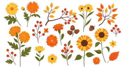 Autumn Floral Collection: Sunflowers, Chrysanthemums, Berries, Leaves, Acorns © Kuning
