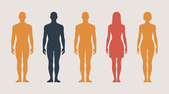 Human Body Silhouette Clipart Set Vector with Minimal Figure