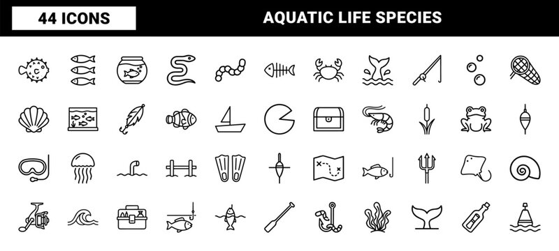 Freshwater fish and fishing line icons set