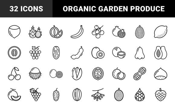 Minimalist organic fruit line icon set for grocery and nutrition designs.