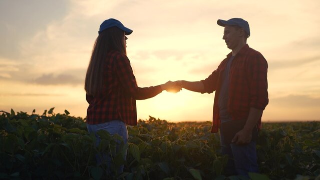 Agriculture. silhouette of farmer shaking hands with a field. deal two businessman concept. farmers shake hands in a field. silhouette of a farmer shaking hands in field a soybean.