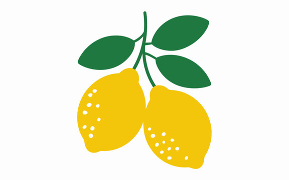 Bright yellow lemons with green leaves a white background, simple flat