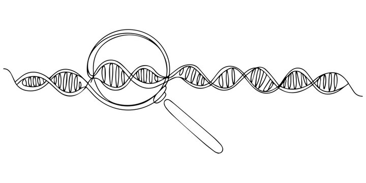 Line art of dna strand with magnifying glass highlighting genetic research. no editable stroke, DNA analysis. One continuous line drawing of DNA and Magnifying glass. Can used for logo, emblem, slide.