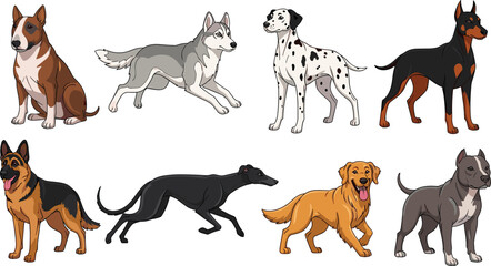 Dog Breeds Collection Featuring Husky Dalmatian Doberman and Mixed Dogs in Standing Side View Flat Cartoon Style Vector Illustration for Pet Design. © MstSuborna