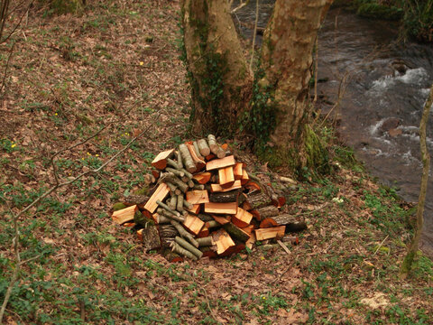 Pila de trozos de madera o le&ntilde;a al lado de un &aacute;rbol y un rio