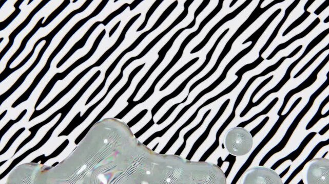 Horizontal zebra bubbles animal pattern textile fabric abstract texture fashion chic glamour promo background black white glossy transparent spheres wild exotic safari banner manual 3D loop animation