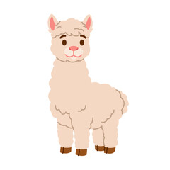 Fototapeta premium Cute Alpaca Character with Fluffy Fur Standing on White Background. Farm Animal. Flat Vector Illustration.