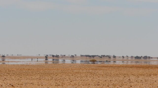 Fata Morgana - desert landscape in hot shimmering air with water illusion 8
