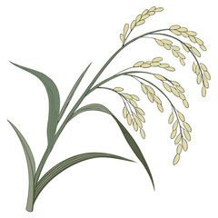 Fototapeta premium An illustration of a green rice plant with yellow grains