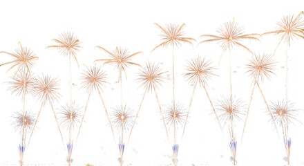 Obraz premium Dried palm flowers on stems with purple ends arranged in a row on transparent background transparent background