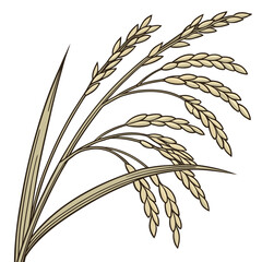Fototapeta premium An illustration of a bunch of golden wheat or rice plant on isolated for design uses