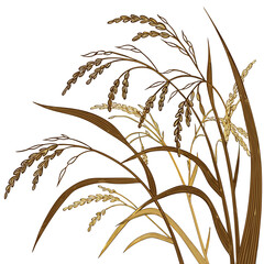 Fototapeta premium Beautiful golden wheat or rice plant on for decoration and design