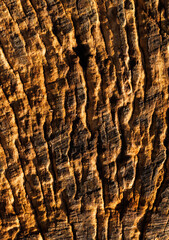 Fototapeta premium old wooden texture 