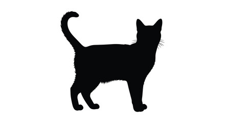 Fototapeta premium A striking black cat profile captured in a minimalist silhouette