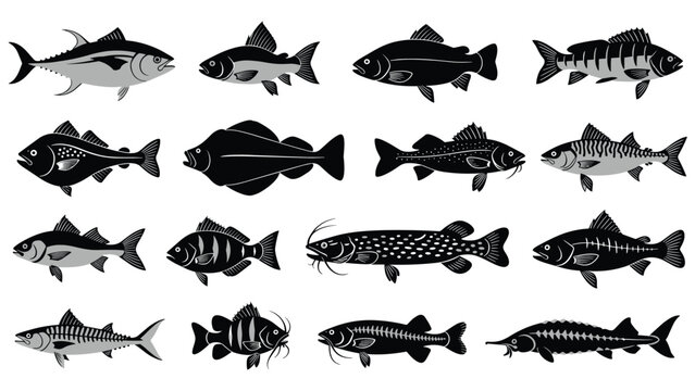 Extensive collection of various fish silhouettes in grey and black, representing different species for fishing and nature themes.