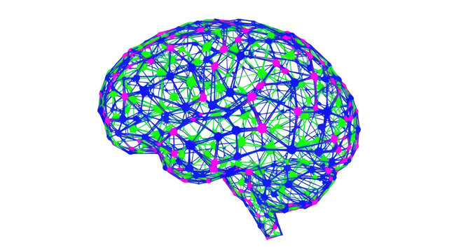 Colorful Brain Network Diagram Illustration.