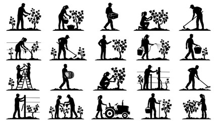 Fototapeta premium Collection of Silhouettes Illustrating Vineyard Farming Activities and Grape Harvesting Season