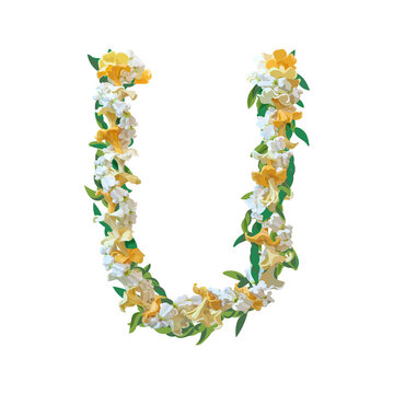 Hawaiian Plumeria Flower Lei Necklace Vector Illustration, Tropical Floral Garland, Frangipani Wreath