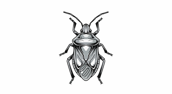 Realistic black and white drawing of a stink bug