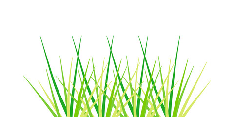 Naklejka premium Fresh green grass isolated on transparent background. Grass field close-up. Green grass meadow. Nature landscape.