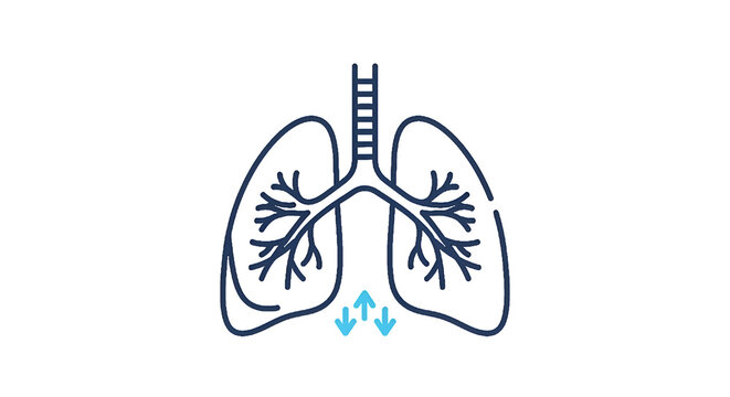 Lung respiratory system outlined in blue against black background showing breathing with trachea bronchi and downwards air flow.