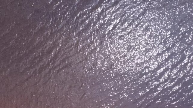 Top Down Aerial Texture of Rio Negro River in the Amazon Rainforest