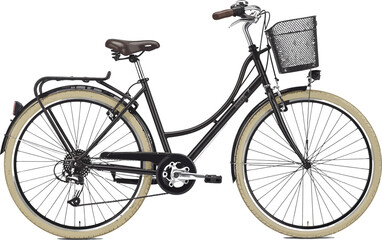 Vintage bicycle, classic bike, brown leather seat, black frame, cream tires, city bike © Jihadul