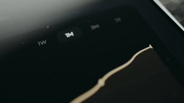 Person views the Portfolio Growth from a financial application with a positive trend graph visualization