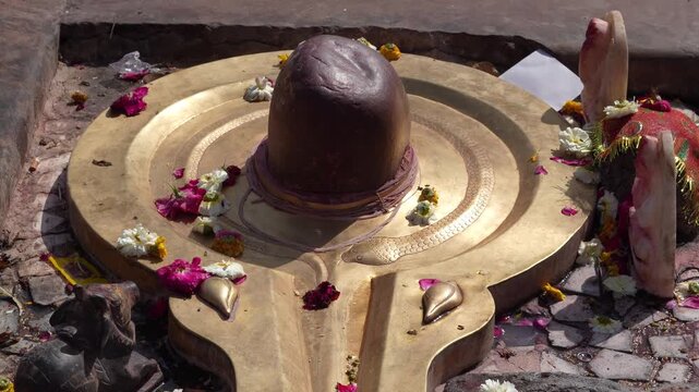 Shivling Worship Ritual with Offerings in Hindu Temple India