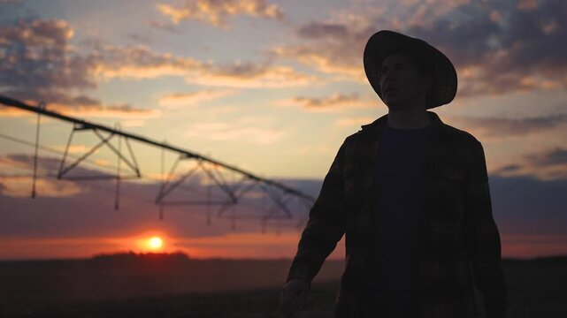 irrigation. The farmer walk silhouette of a corn field stands out against the horizon business. agriculture irrigation concept. The irrigation corn field is being watered. farmer in field with corn