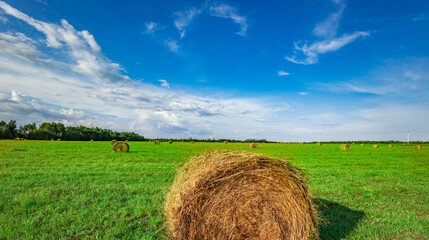 Golden bale rests on vibrant green grass © Sergei