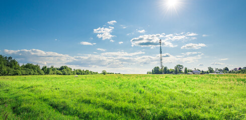 Vast green field stretches under bright blue sky © Sergei