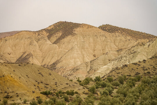 Valle del Rio Fardes Granada arid hills with olive groves landscape