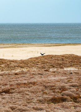 Sylt, Germany