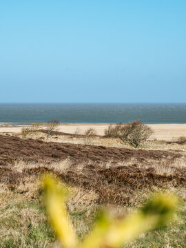 Braderuper Heide, Sylt