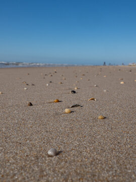 Stones at beach